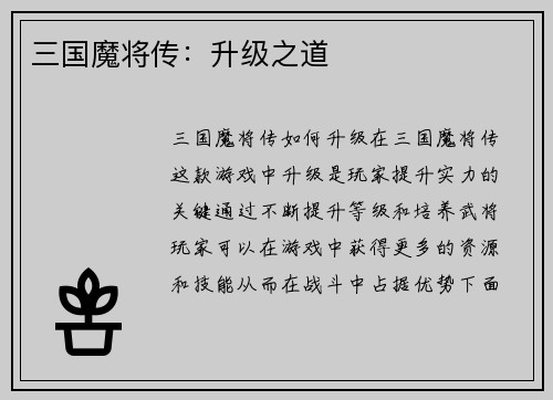 三国魔将传：升级之道
